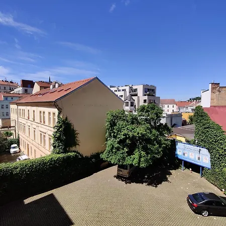 Cozy Flat At Zizkov & Free Parking Daire Prag